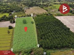 ขายที่ดิน เนื้อที่ 10 ไร่ หนองหาน อุดรธานี-202510301529521761812992321.jpg