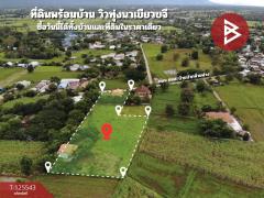 ขายบ้านเดี่ยวพร้อมที่ดิน เนื้อที่ 3 ไร่ 2 งาน 8 ตร.วา สีชมพู ขอนแก่น-202510301626461761816406384.jpg