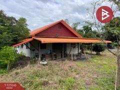 ขายบ้านเดี่ยวพร้อมที่ดิน เนื้อที่ 3 ไร่ 2 งาน 8 ตร.วา สีชมพู ขอนแก่น-202510301626471761816407987.jpg