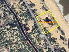 ขายที่ดิน ต.ดอนทราย อ.ไม้แก่น จ.ปัตตานี