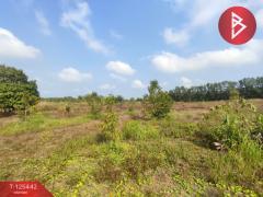 ขายที่ดินพร้อมสวนผสม เนื้อที่ 29 ไร่ 3 งาน 79 ตารางวา ขลุง จันทบุรี-202510301744021761821042114.jpg