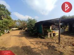 ขายที่ดินพร้อมสวนผสม เนื้อที่ 29 ไร่ 3 งาน 79 ตารางวา ขลุง จันทบุรี-202510301744021761821042606.jpg