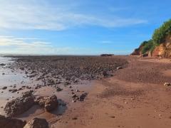 ที่ดินบ้านพร้อมโอนเจ้าของขายเอง ที่ติดทะเล ฝั่งแดง ขายราคาไร่ล่ะ 3.5 ล้านบาท โฉนดครุฑแดง พร้อมโอน