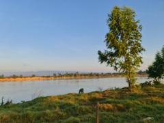 ที่ดินบ้านพร้อมโอนเจ้าของขายเอง ที่ติดแม่น้ำโขง ต.กุดบง อ.โพนพิสัย จ.หนองคาย  หลังติดแม่น้ำโขง ไร่ละ 2ล้านบาท โทร 096-882-1857