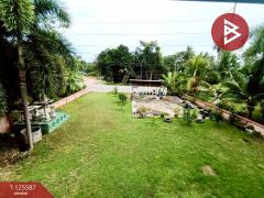 ขายบ้านเดี่ยว 2 ชั้น เนื้อที่ 2 งาน บางสะพาน ประจวบคีรีขันธ์-202510311002131761879733192.jpg