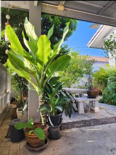 ขายบ้านเดี่ยวชั้นเดียวพร้อมที่ดิน หมู่บ้านมนตรีพฤกษาชล 2 – แม่กลอง จังหวัดสมุทรสงคราม-202510311052571761882777708.jpg