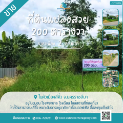 ขายที่ดินแปลงสวย 200 ตรว. ราคาถูก ในตัวเมืองสีคิ้ว ใกล้บึงสาธารณะสีคิ้ว เหมาะกับการอยู่อาศัย ทำโฮมออฟฟิส ซื้อลงทุนเก็งกำไร