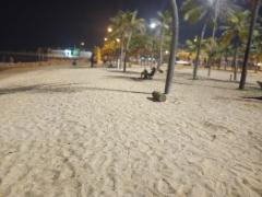 ขายคอนโดมีสระว่ายน้ำใกล้ชายหาดสวยมาก 2ห้องนอน 2ห้องน้ำ 1ห้องนั่งเล่น ห้องครัว พร้อมฟอร์นิเจอร์บิวอิน นาจอมเทียน-202510311122541761884574091.jpg