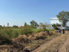 ขายที่ดินถมแล้ว 2 แปลงติดกัน พร้อมโฉนด คลอง 5 ธัญบุรี 2 งาน 80 ตรว. เข้าออกได้ 2 ทาง ใกล้มอเตอร์เวย์ ฟรีโอน-202510311128461761884926896.jpg