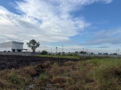 ขายที่ดินถมแล้ว 2 แปลงติดกัน พร้อมโฉนด คลอง 5 ธัญบุรี 2 งาน 80 ตรว. เข้าออกได้ 2 ทาง ใกล้มอเตอร์เวย์ ฟรีโอน-202510311128471761884927597.jpg