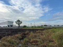 ขายที่ดินถมแล้ว 2 แปลงติดกัน พร้อมโฉนด คลอง 5 ธัญบุรี 2 งาน 80 ตรว. เข้าออกได้ 2 ทาง ใกล้มอเตอร์เวย์ ฟรีโอน-202510311128481761884928125.jpg