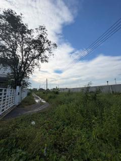 ขายที่ดินถมแล้ว 2 แปลงติดกัน พร้อมโฉนด คลอง 5 ธัญบุรี 2 งาน 80 ตรว. เข้าออกได้ 2 ทาง ใกล้มอเตอร์เวย์ ฟรีโอน-202510311128501761884930539.jpg