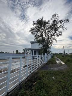 ขายที่ดินถมแล้ว 2 แปลงติดกัน พร้อมโฉนด คลอง 5 ธัญบุรี 2 งาน 80 ตรว. เข้าออกได้ 2 ทาง ใกล้มอเตอร์เวย์ ฟรีโอน-202510311128511761884931096.jpg