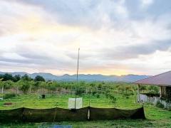 ขายที่ดินลี้ ลำพูน 23 ไร่กว่า วิวภูเขา บรรยากาศธรรมชาติ ราคาดี