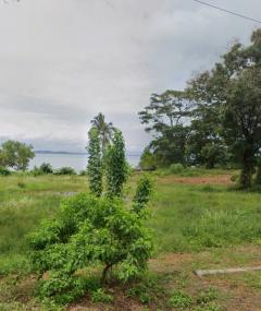 ขายที่ดิน แปลงใหญ่ อ.เกาะช้าง จ.ตราด Seaview  ขนาด 6-1-21.3 ไร่  ใกล้ท่าเทียบเรือเกาะช้าง-202510311210311761887431196.jpg