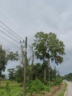 ขายที่ดิน แปลงใหญ่ อ.เกาะช้าง จ.ตราด Seaview  ขนาด 6-1-21.3 ไร่  ใกล้ท่าเทียบเรือเกาะช้าง-202510311210321761887432710.jpg