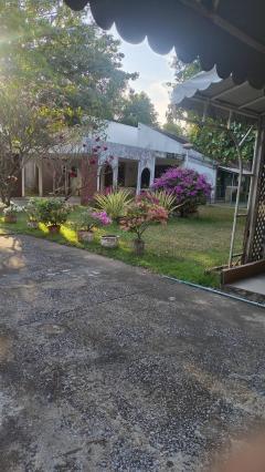 Sale old house with large land about 1 rai need to new build at sukhumvit54-50 two way to entrance soi-202510311214531761887693126.jpg