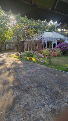 Sale old house with large land about 1 rai need to new build at sukhumvit54-50 two way to entrance soi-202510311215241761887724232.jpg