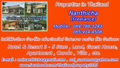 Sale old house with large land about 1 rai need to new build at sukhumvit54-50 two way to entrance soi-202510311215401761887740111.jpg