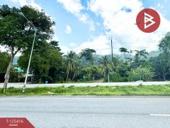 ขายที่ดิน เนื้อที่ 8 ไร่ 2 งาน 19.9 ตร.วา คลองนารายณ์ จันทบุรี