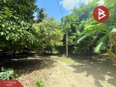 ขายที่ดิน เนื้อที่ 8 ไร่ 2 งาน 19.9 ตร.วา คลองนารายณ์ จันทบุรี-202510311224341761888274480.jpg