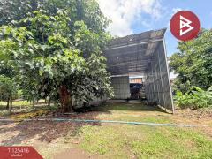 ขายที่ดิน เนื้อที่ 8 ไร่ 2 งาน 19.9 ตร.วา คลองนารายณ์ จันทบุรี-202510311224351761888275023.jpg