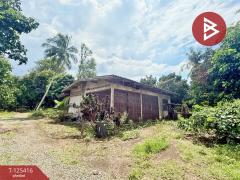 ขายที่ดิน เนื้อที่ 8 ไร่ 2 งาน 19.9 ตร.วา คลองนารายณ์ จันทบุรี-202510311224351761888275564.jpg