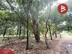 ขายที่ดิน เนื้อที่ 8 ไร่ 2 งาน 19.9 ตร.วา คลองนารายณ์ จันทบุรี-202510311224361761888276105.jpg