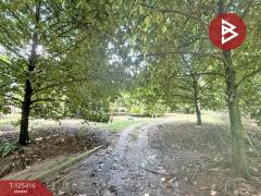 ขายที่ดิน เนื้อที่ 8 ไร่ 2 งาน 19.9 ตร.วา คลองนารายณ์ จันทบุรี-202510311224371761888277062.jpg