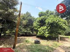 ขายที่ดิน เนื้อที่ 8 ไร่ 2 งาน 19.9 ตร.วา คลองนารายณ์ จันทบุรี-202510311224381761888278191.jpg