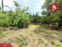 ขายที่ดิน เนื้อที่ 8 ไร่ 2 งาน 19.9 ตร.วา คลองนารายณ์ จันทบุรี-202510311224381761888278740.jpg