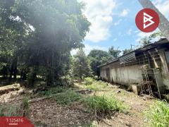 ขายที่ดิน เนื้อที่ 8 ไร่ 2 งาน 19.9 ตร.วา คลองนารายณ์ จันทบุรี-202510311224391761888279828.jpg