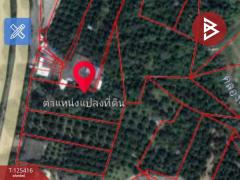 ขายที่ดิน เนื้อที่ 8 ไร่ 2 งาน 19.9 ตร.วา คลองนารายณ์ จันทบุรี-202510311224401761888280378.jpg