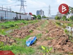 ขายที่ดิน เนื้อที่ 7 ไร่ 1 งาน 29 ตร.วา ไทรน้อย นนทบุรี