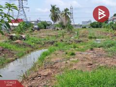 ขายที่ดิน เนื้อที่ 7 ไร่ 1 งาน 29 ตร.วา ไทรน้อย นนทบุรี-202510311238421761889122774.jpg