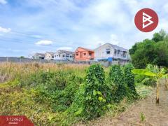 ขายที่ดิน เนื้อที่ 7 ไร่ 1 งาน 29 ตร.วา ไทรน้อย นนทบุรี-202510311238431761889123318.jpg