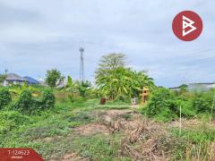 ขายที่ดิน เนื้อที่ 7 ไร่ 1 งาน 29 ตร.วา ไทรน้อย นนทบุรี-202510311238441761889124570.jpg