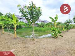 ขายที่ดิน เนื้อที่ 7 ไร่ 1 งาน 29 ตร.วา ไทรน้อย นนทบุรี-202510311238451761889125106.jpg