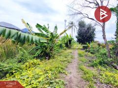 ขายที่ดิน เนื้อที่ 7 ไร่ 1 งาน 29 ตร.วา ไทรน้อย นนทบุรี-202510311238451761889125643.jpg