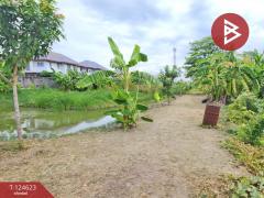 ขายที่ดิน เนื้อที่ 7 ไร่ 1 งาน 29 ตร.วา ไทรน้อย นนทบุรี-202510311238461761889126191.jpg