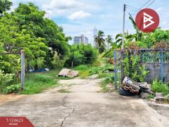 ขายที่ดิน เนื้อที่ 7 ไร่ 1 งาน 29 ตร.วา ไทรน้อย นนทบุรี-202510311238461761889126735.jpg