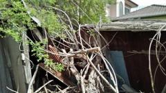 ขายที่ดินพร้อมสิ่งปลูกสร้าง จำต้องสร้างบ้านใหม่เอง ต.สำโรงเหนือ อ.เมืองสมุทรปราการ จ.สมุทรปราการ 10270  -202510311245341761889534245.jpg