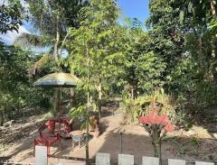 ขายรีสอร์ท ระยอง เนื้อที่ 2 ไร่ ตำบลนาตาขวัญ อำเภอเมือง จังหวัดระยอง-202510311309241761890964029.jpeg