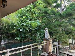 ขายรีสอร์ท ระยอง เนื้อที่ 2 ไร่ ตำบลนาตาขวัญ อำเภอเมือง จังหวัดระยอง-202510311309241761890964548.jpeg