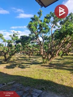 ขายบ้านเดี่ยวพร้อมที่ดิน เนื้อที่ 2 ไร่ 1 งาน 9.9 ตร.วา พญาเม็งราย เชียงราย-202510311327351761892055839.jpg