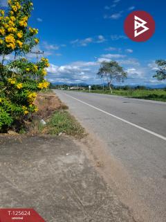 ขายบ้านเดี่ยวพร้อมที่ดิน เนื้อที่ 2 ไร่ 1 งาน 9.9 ตร.วา พญาเม็งราย เชียงราย-202510311327361761892056363.jpg