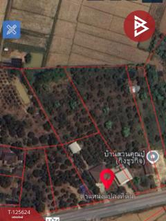 ขายบ้านเดี่ยวพร้อมที่ดิน เนื้อที่ 2 ไร่ 1 งาน 9.9 ตร.วา พญาเม็งราย เชียงราย-202510311327371761892057416.jpg