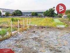 ขายที่ดิน-เนื้อที่-4-ไร่-1-งาน-81-ตร.วา-บา