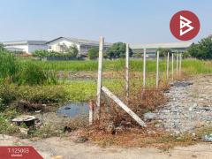 ขายที่ดิน เนื้อที่ 4 ไร่ 1 งาน 81 ตร.วา บางขุนเทียน กรุงเทพมหานคร-202510311340521761892852254.jpg