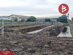 ขายที่ดิน เนื้อที่ 4 ไร่ 1 งาน 81 ตร.วา บางขุนเทียน กรุงเทพมหานคร-202510311340521761892852846.jpg